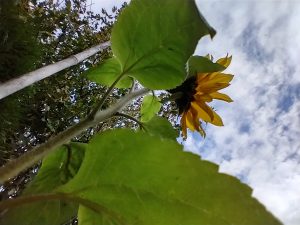 IMG_20241026_141242323_HDR
