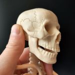 skull resized